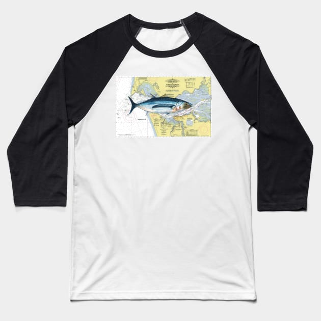 Albacore Chart Baseball T-Shirt by Dave Bartholet Wildlife Art